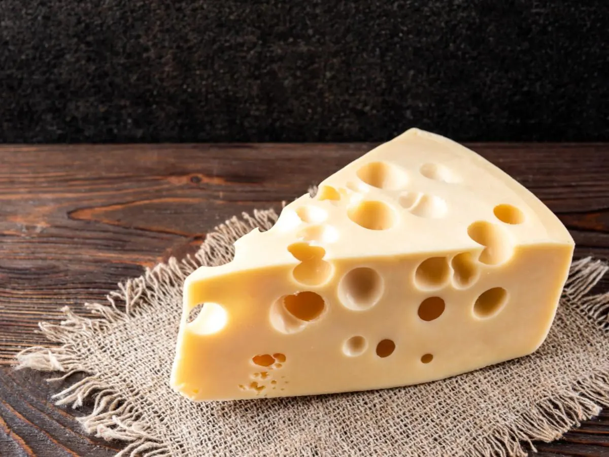 Swiss Cheese Swiss Cheese