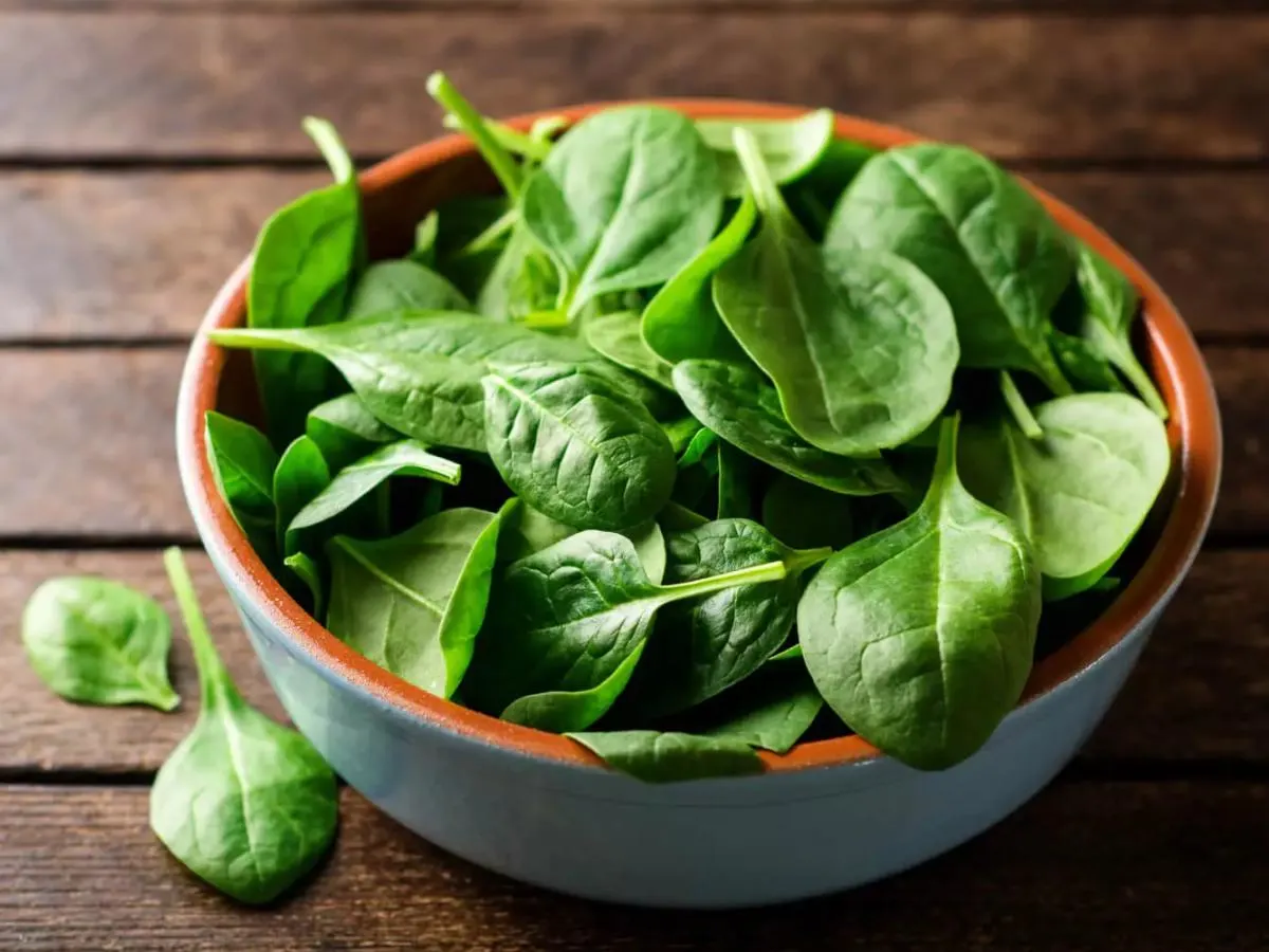 Baby Spinach Baby Spinach
