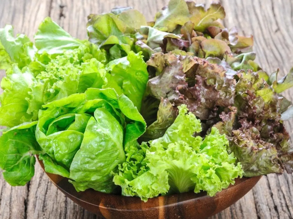 Organic Mixed Green Organic Mixed Green