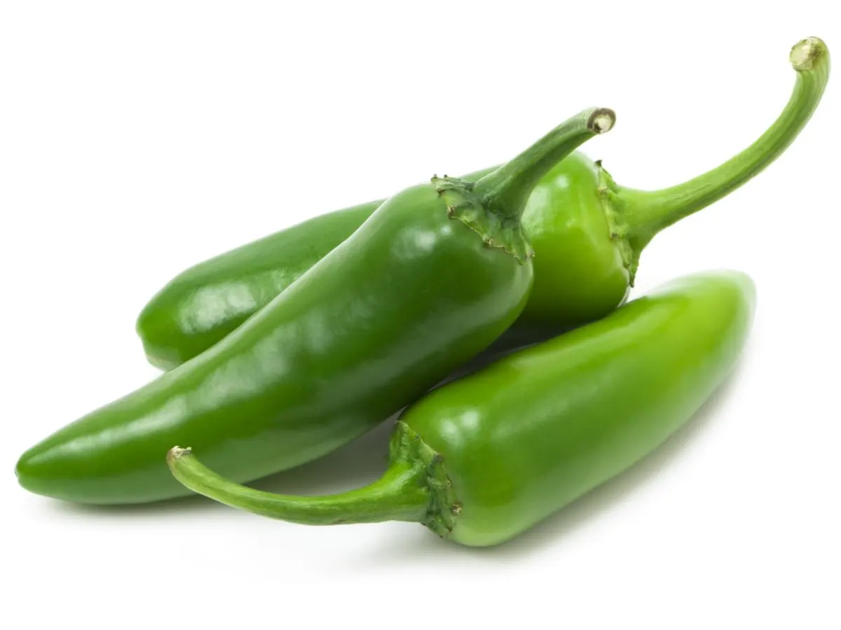Jalapeno Peppers Jalapeno Peppers