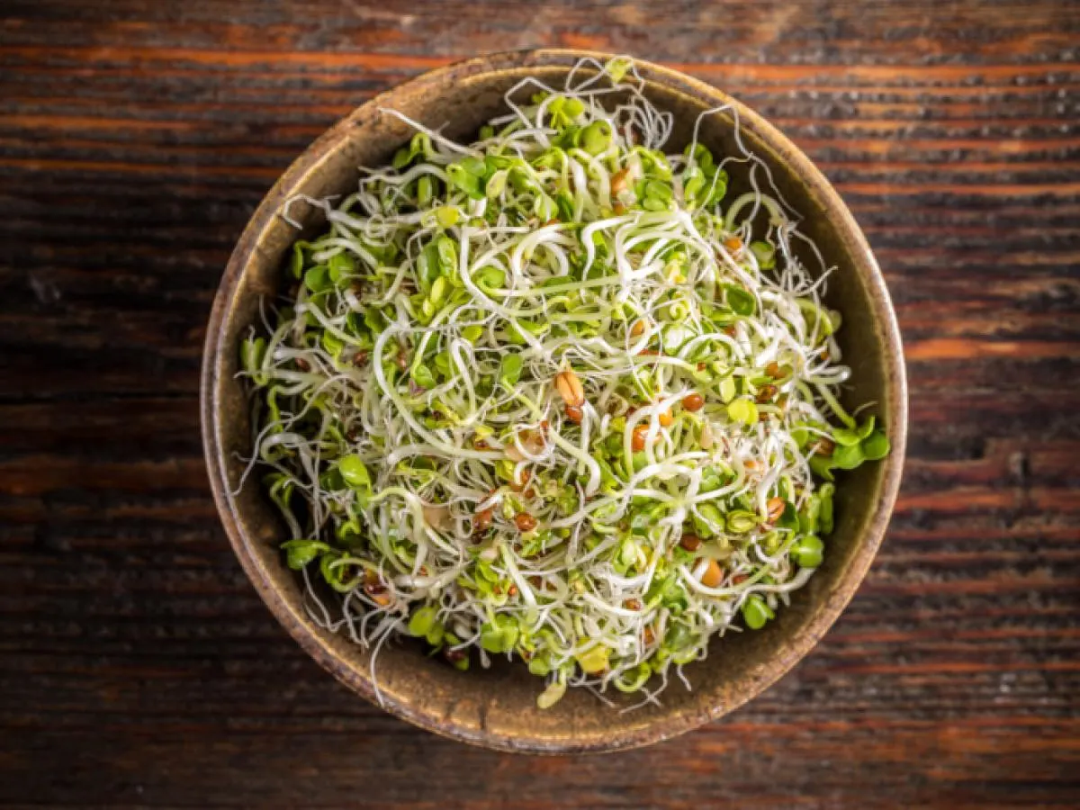 Sprouts Sprouts