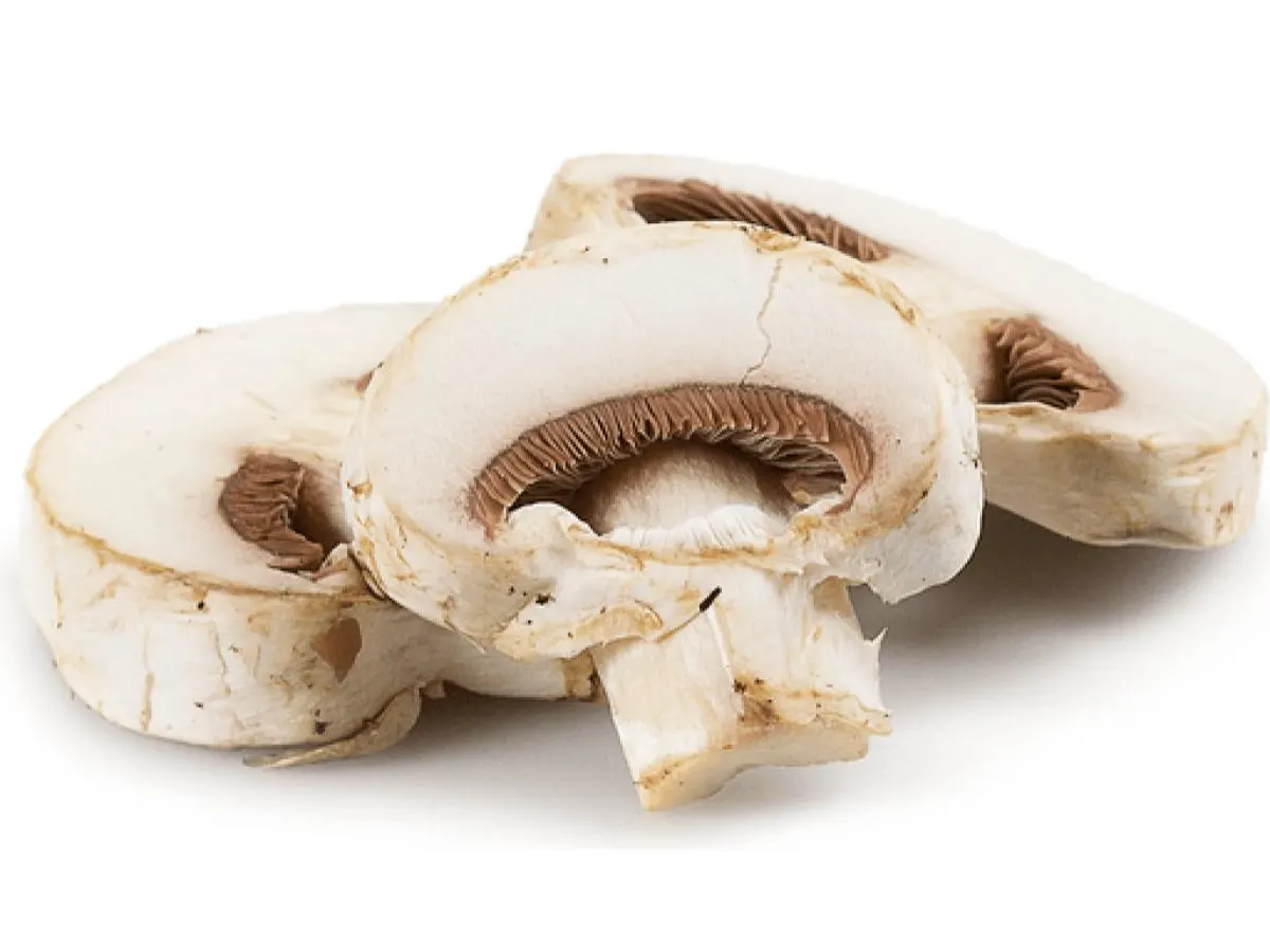 White Mushrooms White Mushrooms
