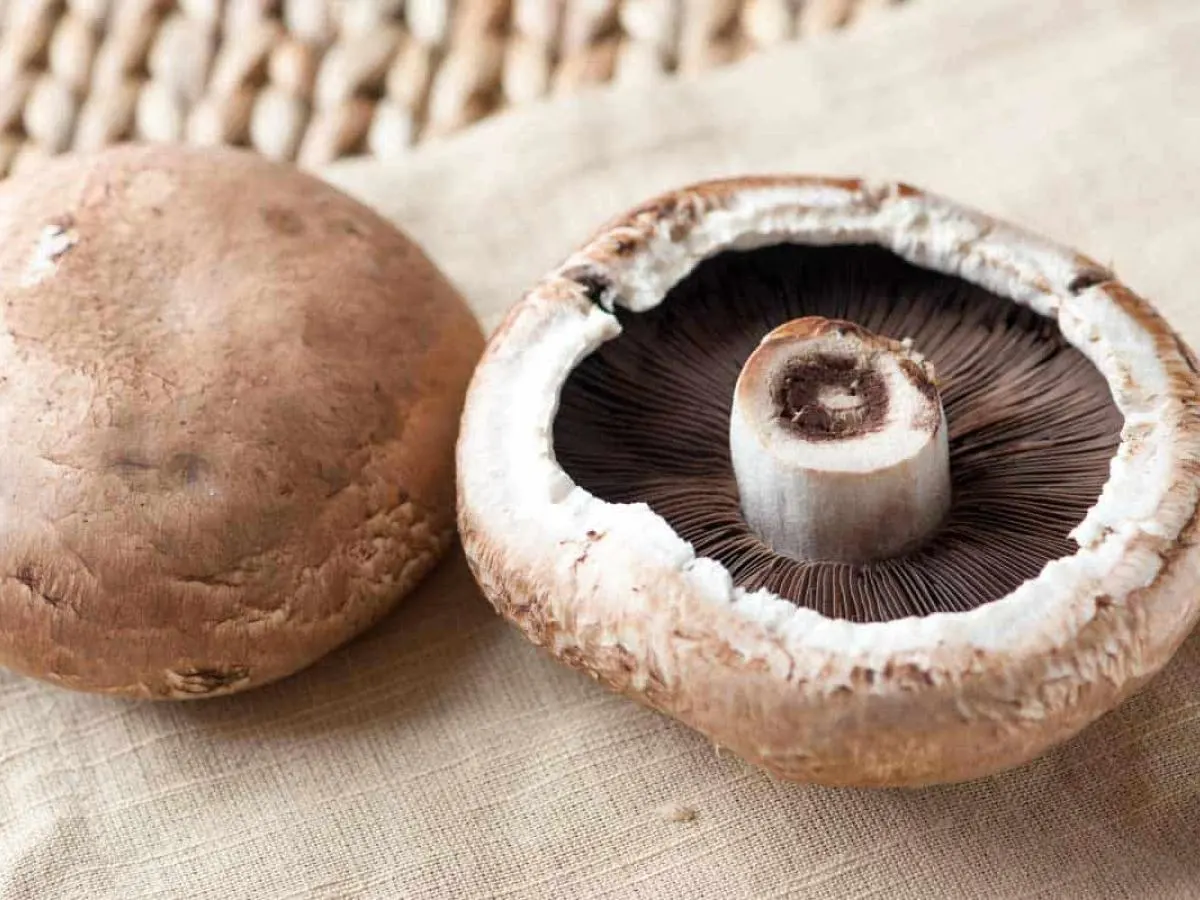 Portobello Mushrooms Portobello Mushrooms