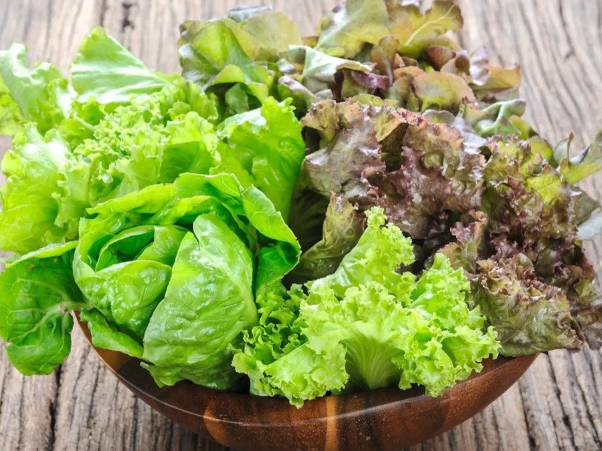 Organic Mixed Greens
