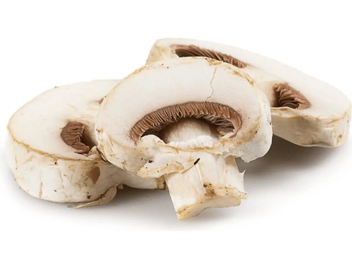 White Mushrooms