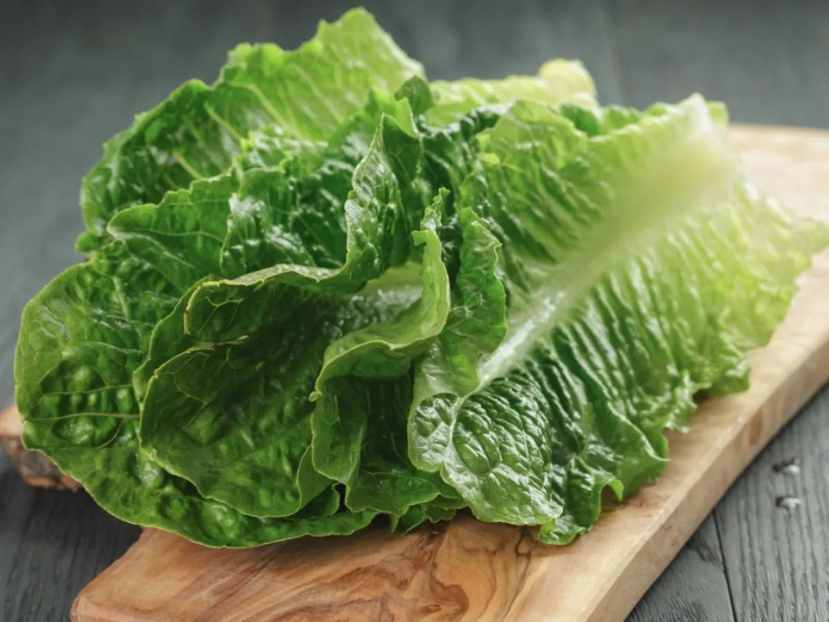 Romaine