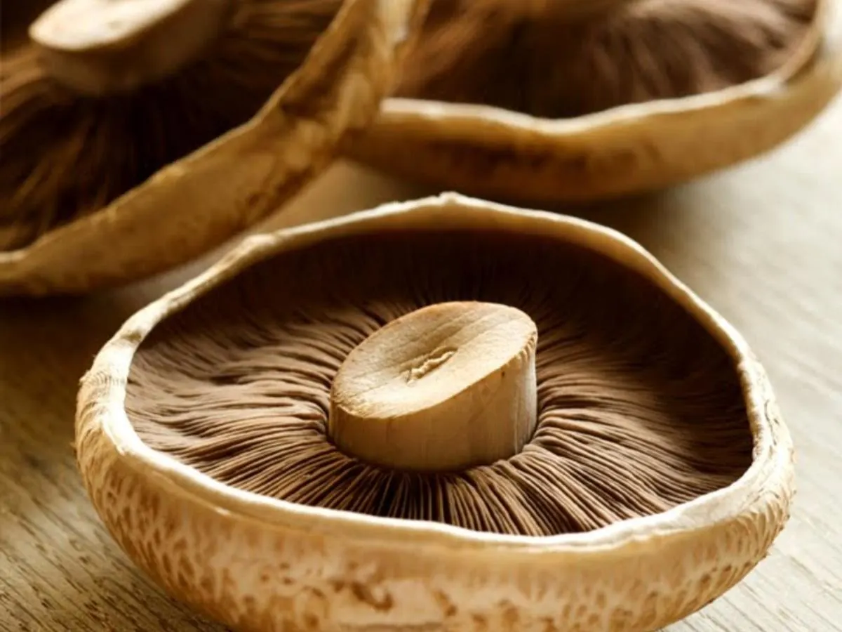 Portobello Mushrooms Portobello Mushrooms