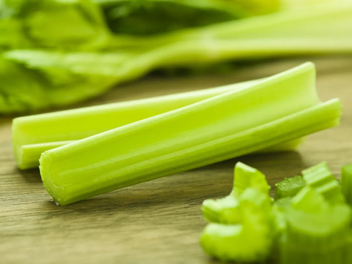 Celery Celery