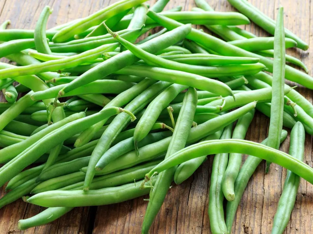 String Beans String Beans