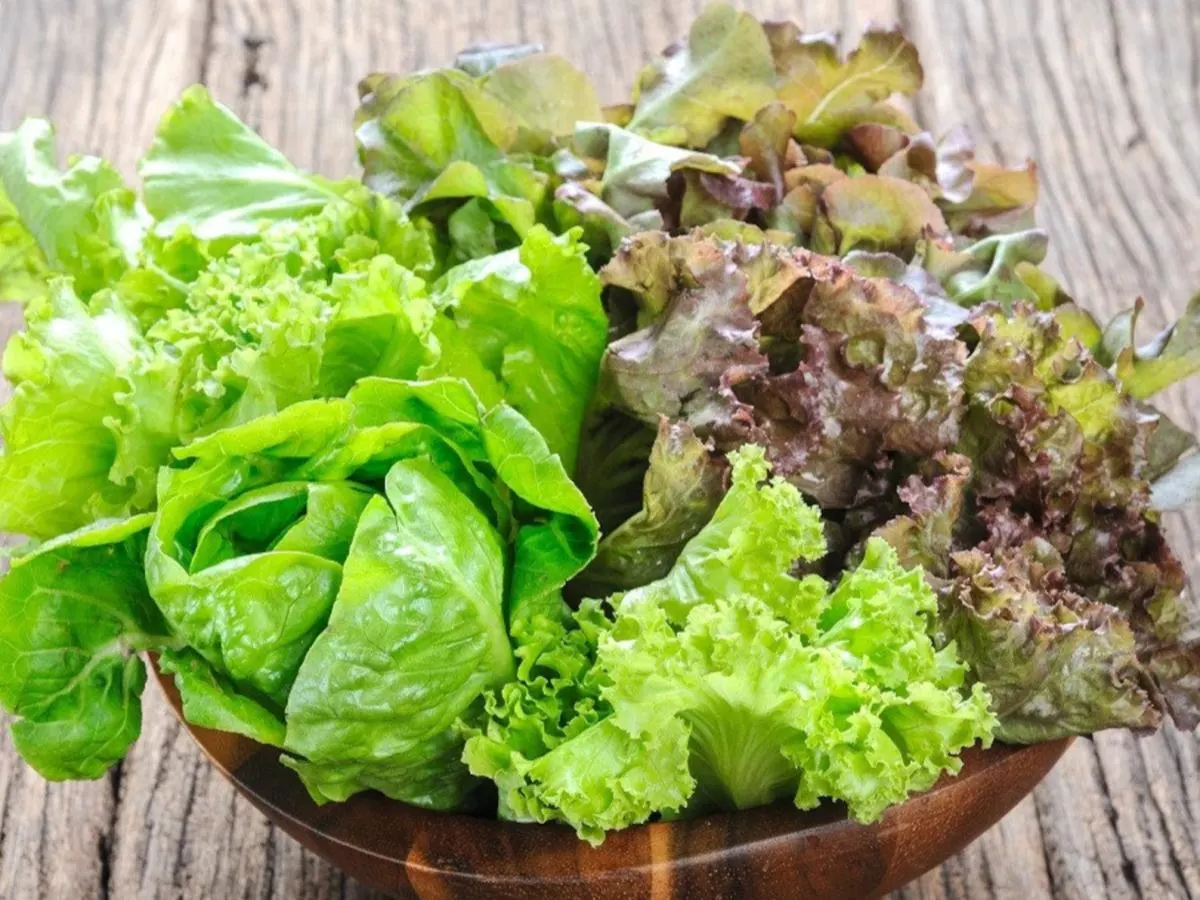 Organic Mixed Green Organic Mixed Green