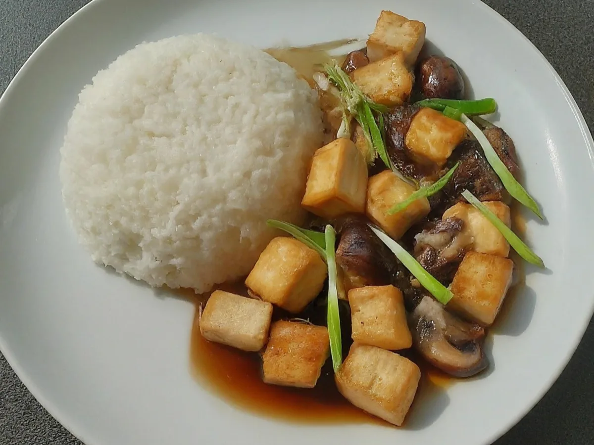 Vegan Tofu Ginger Pad Khing Vegan Tofu Ginger Pad Khing