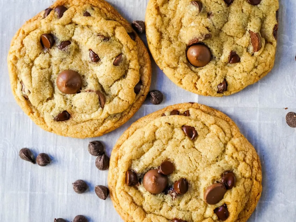 Chocolate Chip Cookie