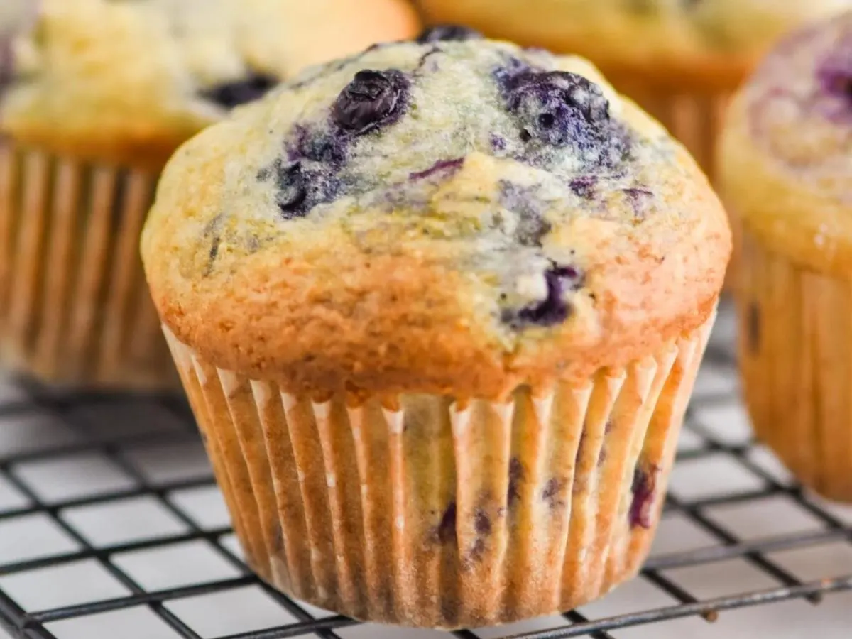 Blueberry Muffins Blueberry Muffins