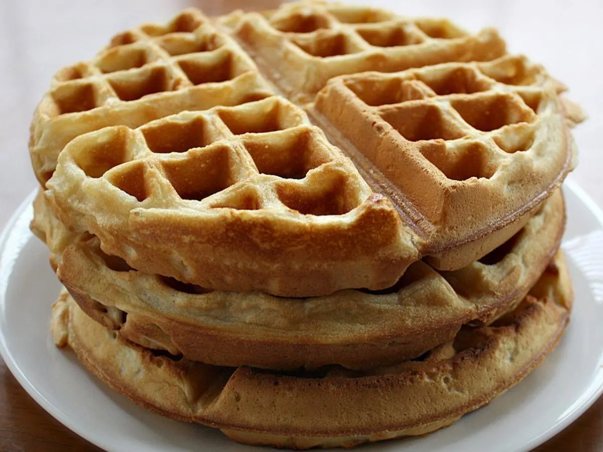 Vegan Waffle