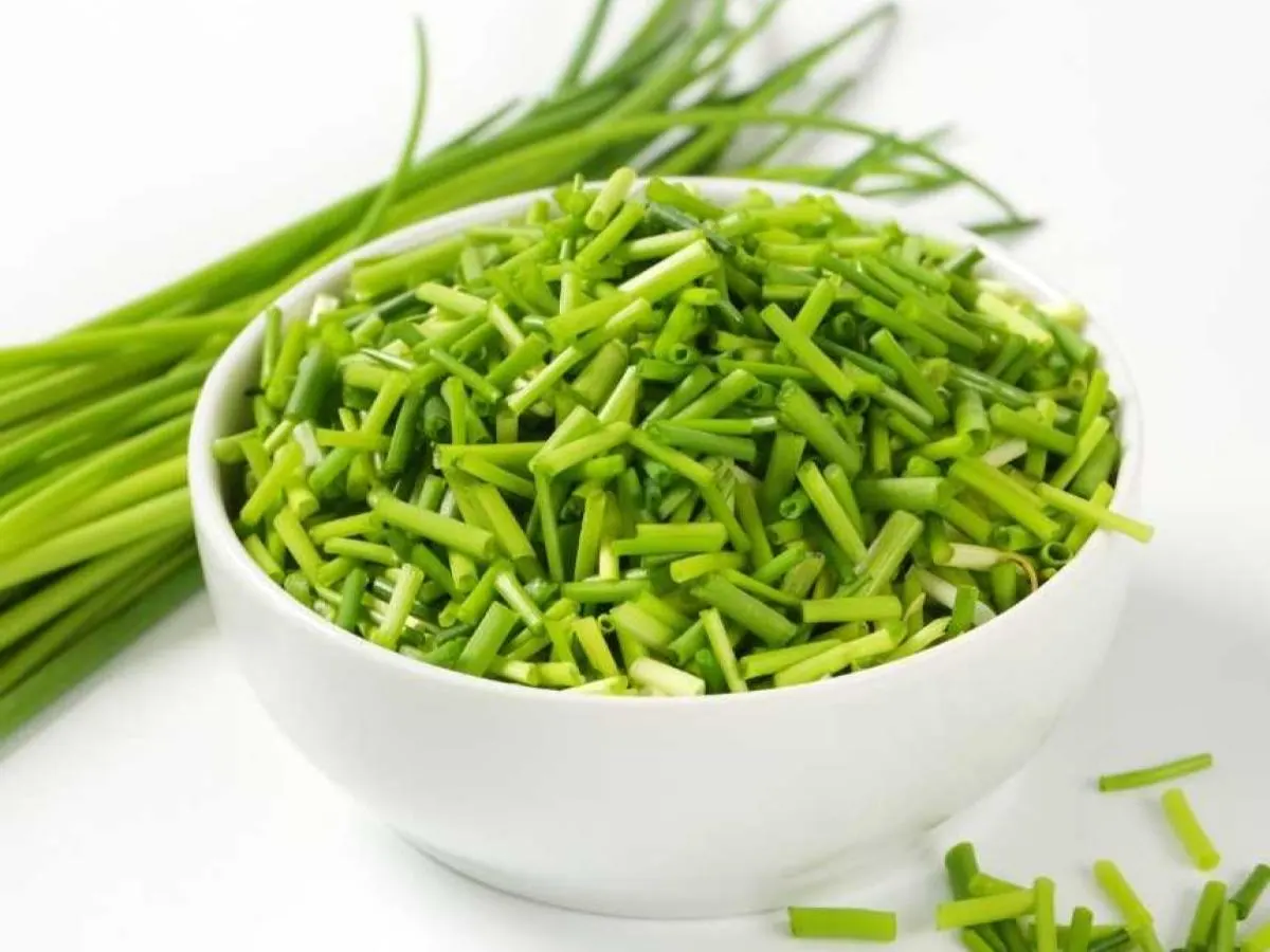 Chives Chives