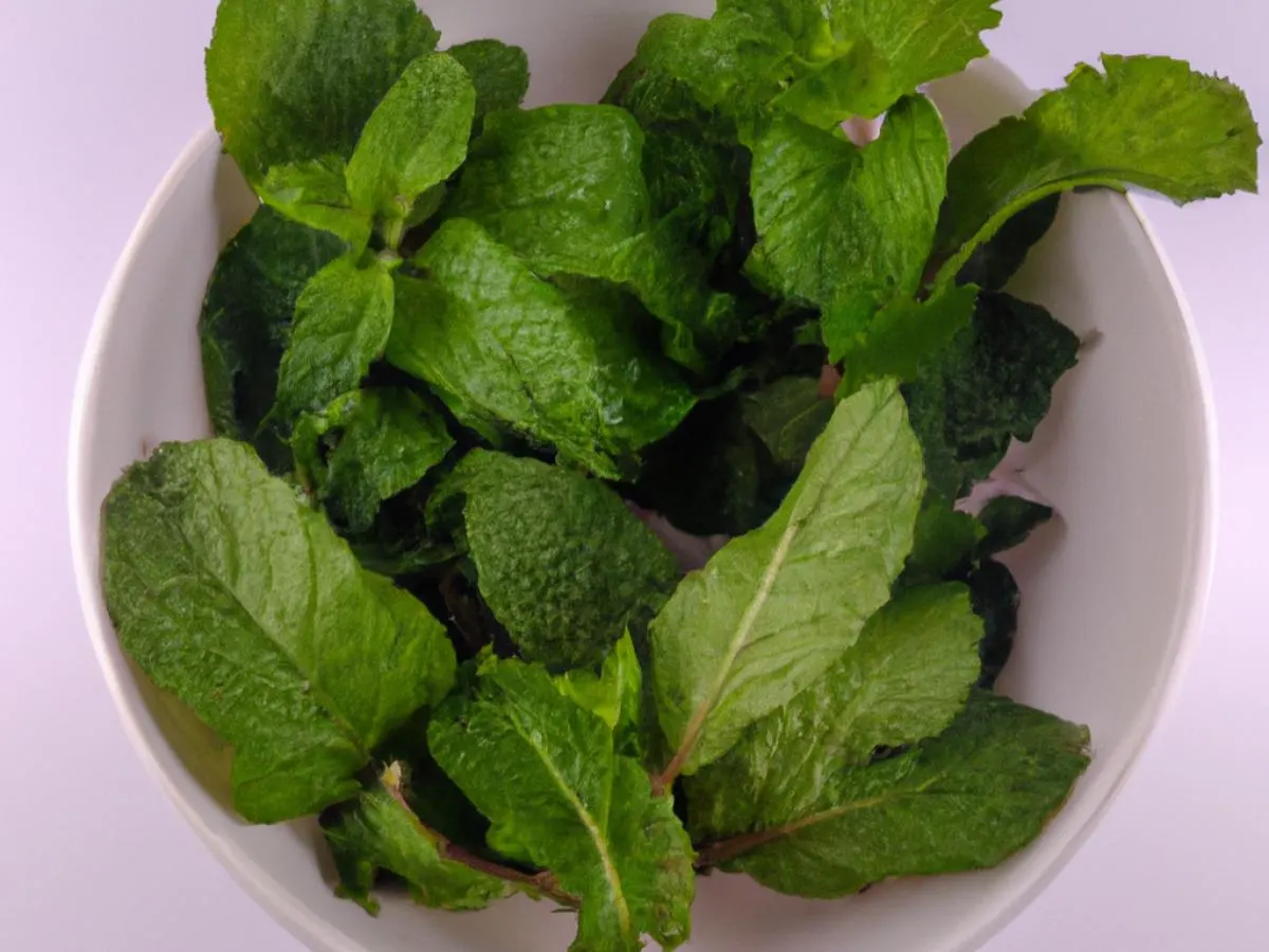 Mint Mint