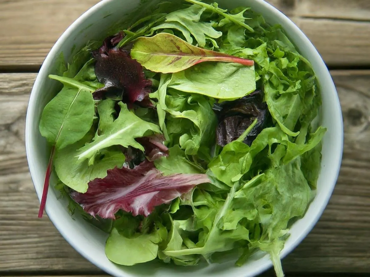Individually Boxed Salad Mix Individually Boxed Salad Mix