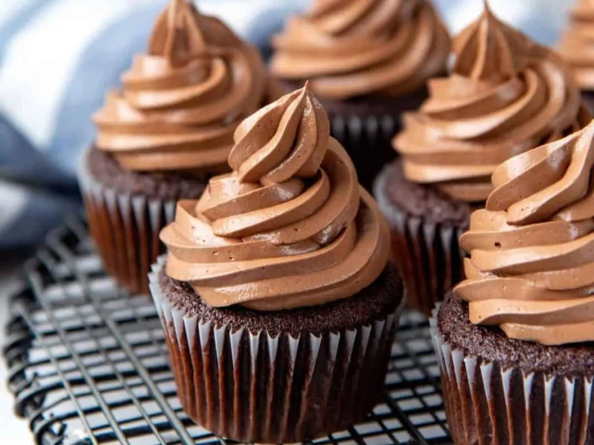 Chocolate Cupcakes Chocolate Cupcakes