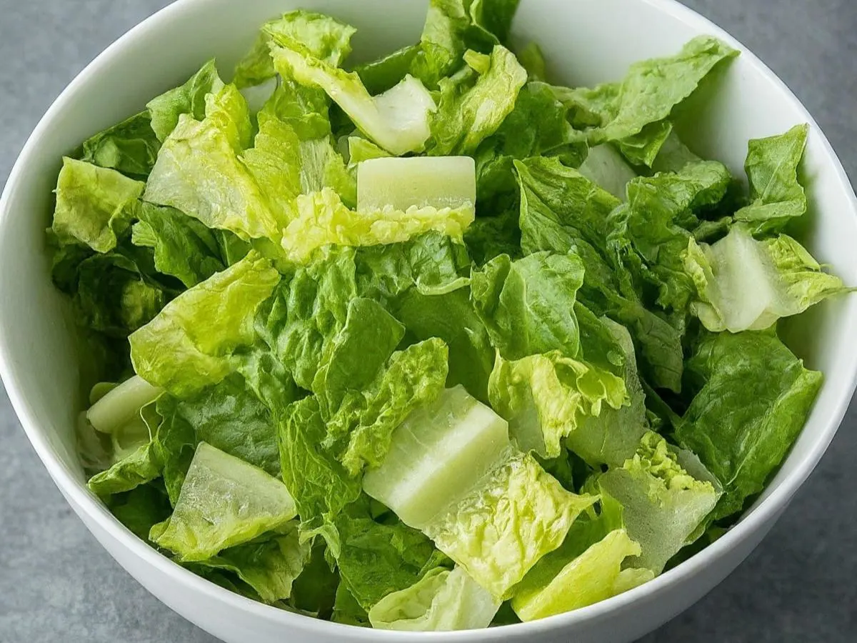 Romaine Lettuce Romaine Lettuce