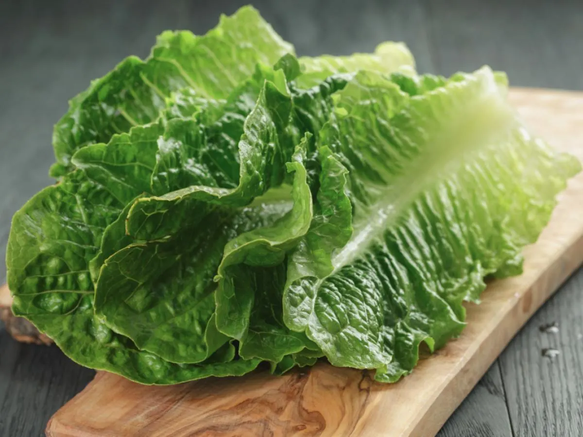 Romaine