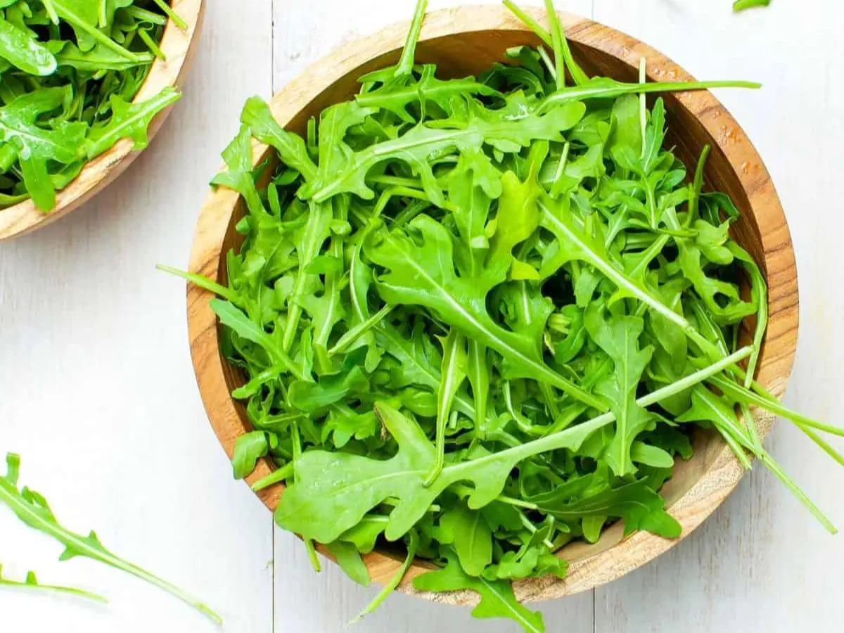 Arugula