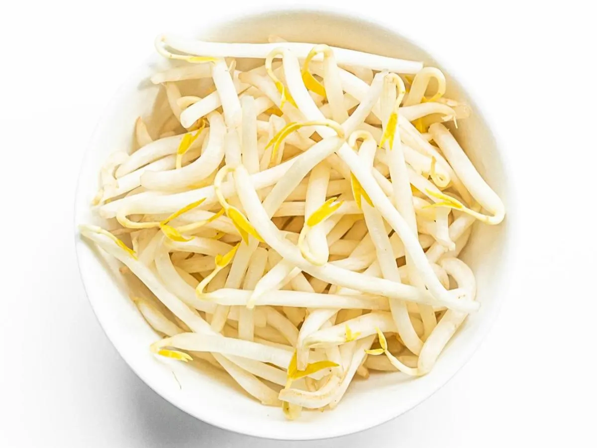 Bean Sprouts Bean Sprouts