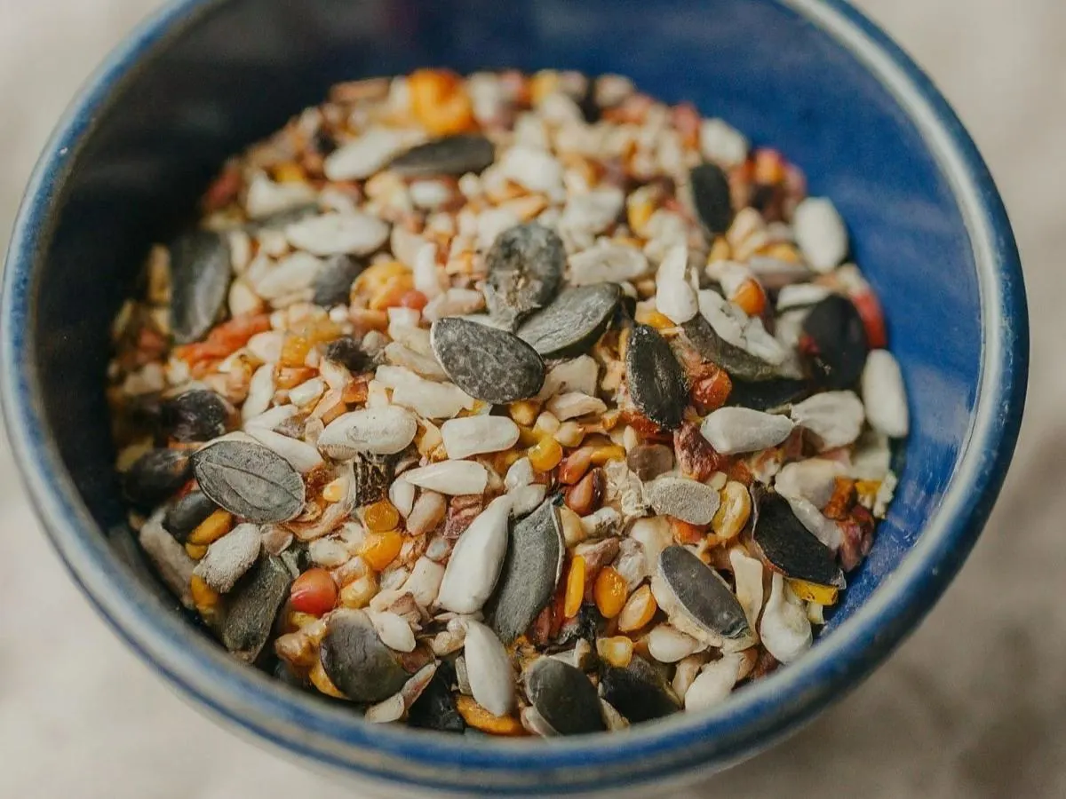 Seed Blend Seed Blend