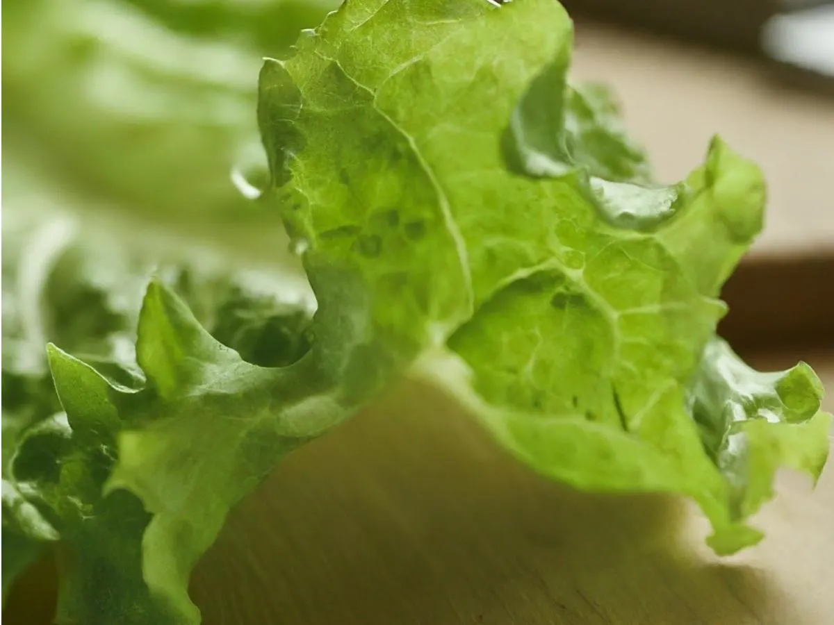 Lettuce Wrap Lettuce Wrap