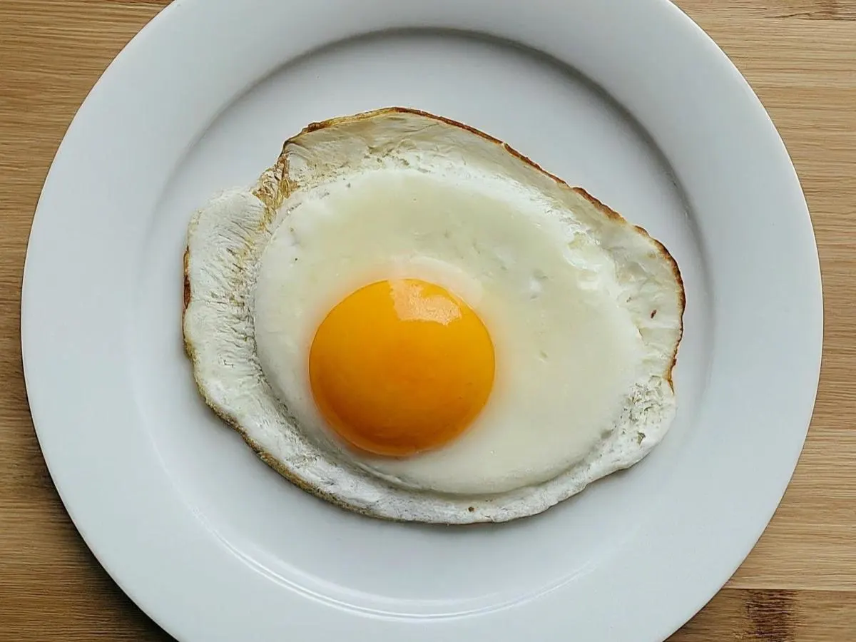 Fried Egg Fried Egg