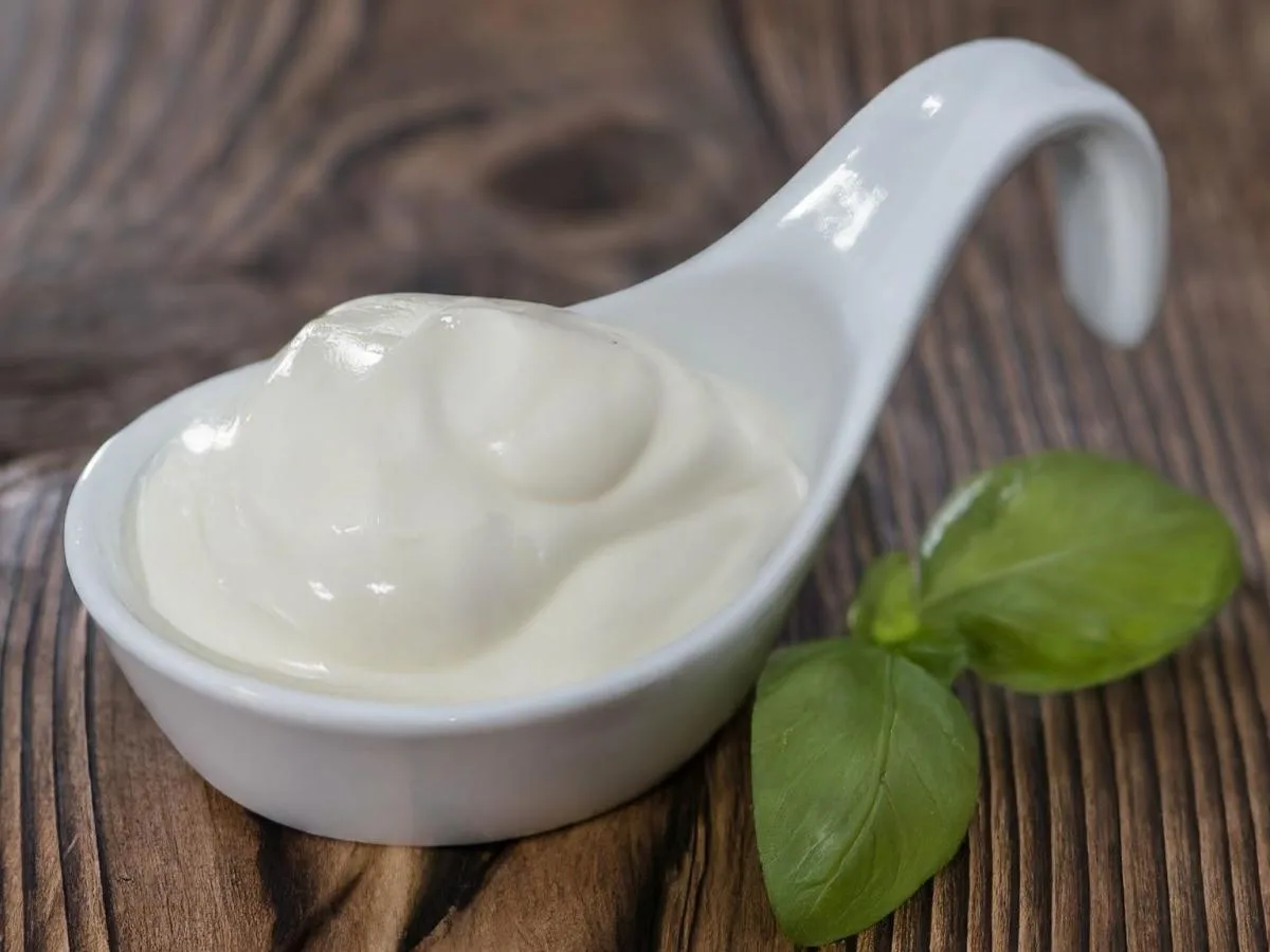 Sour Cream Sour Cream