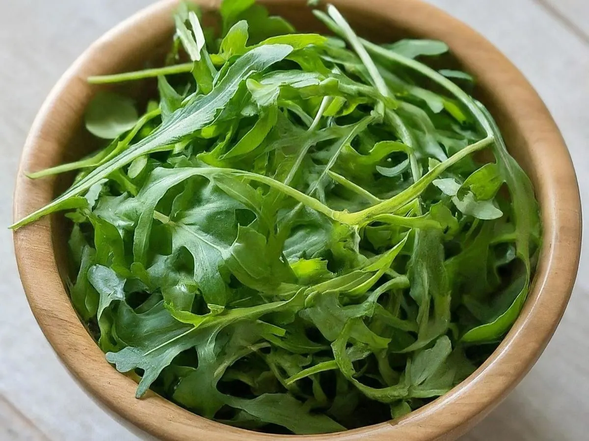 Arugula Arugula