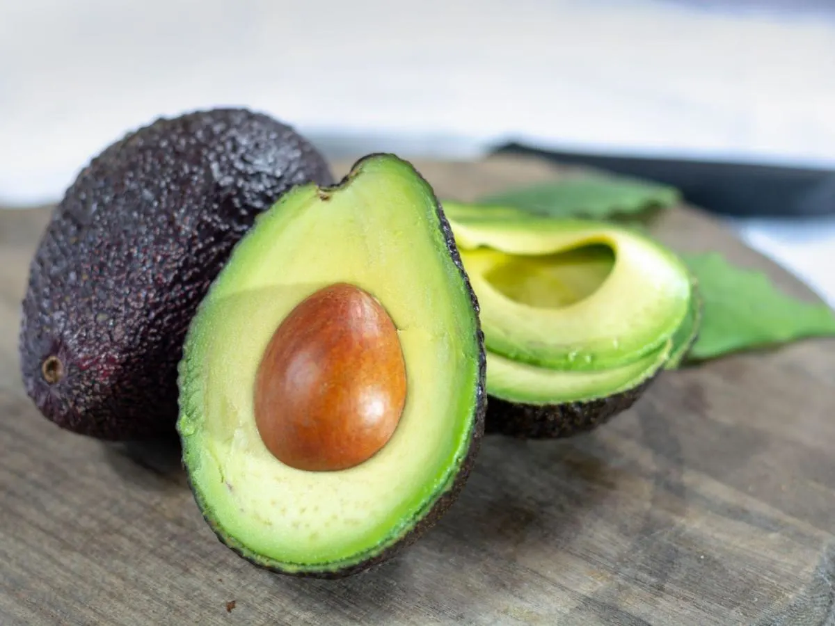 Avocado Avocado