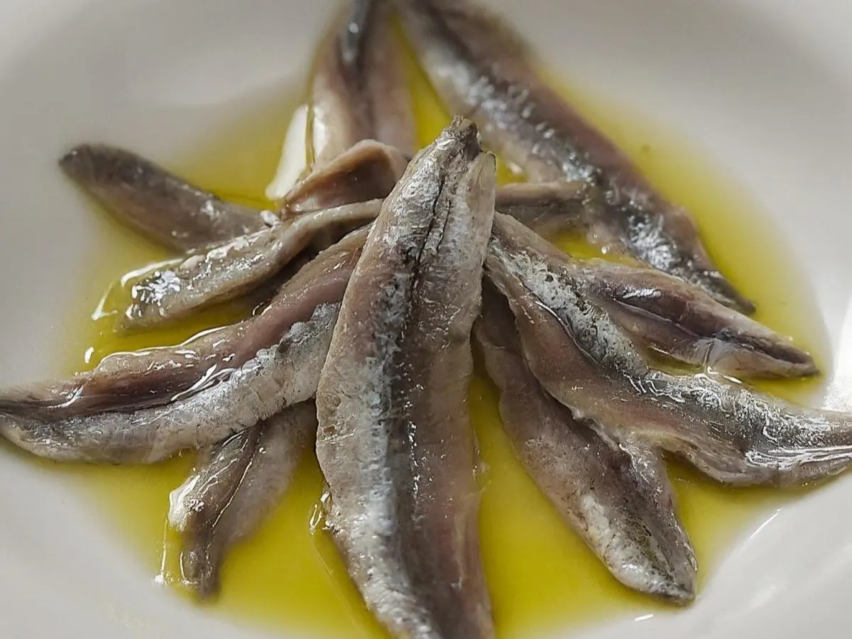 Anchovies