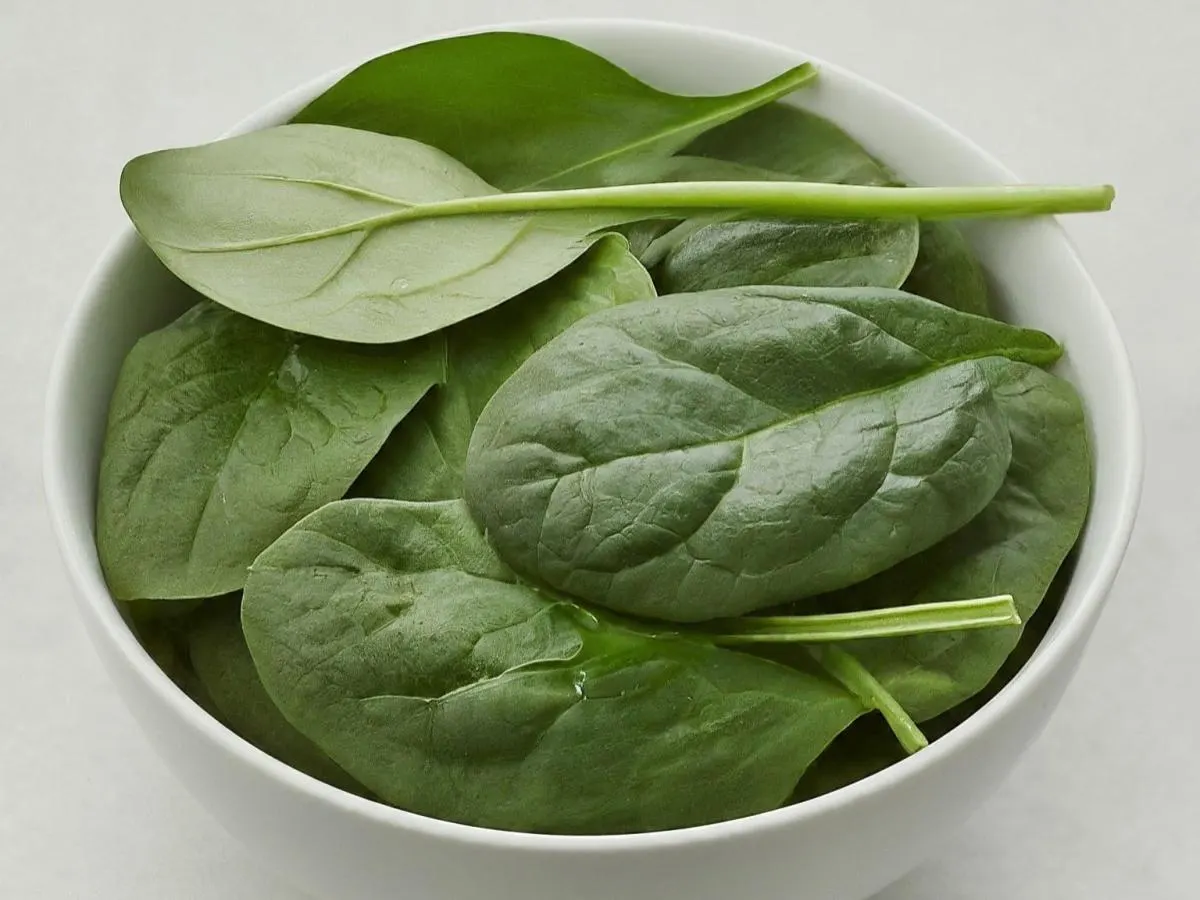Spinach Spinach