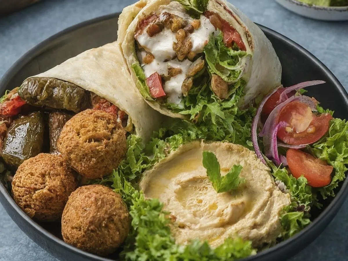 Dairy Free Sebze Durum Wrap and Salad