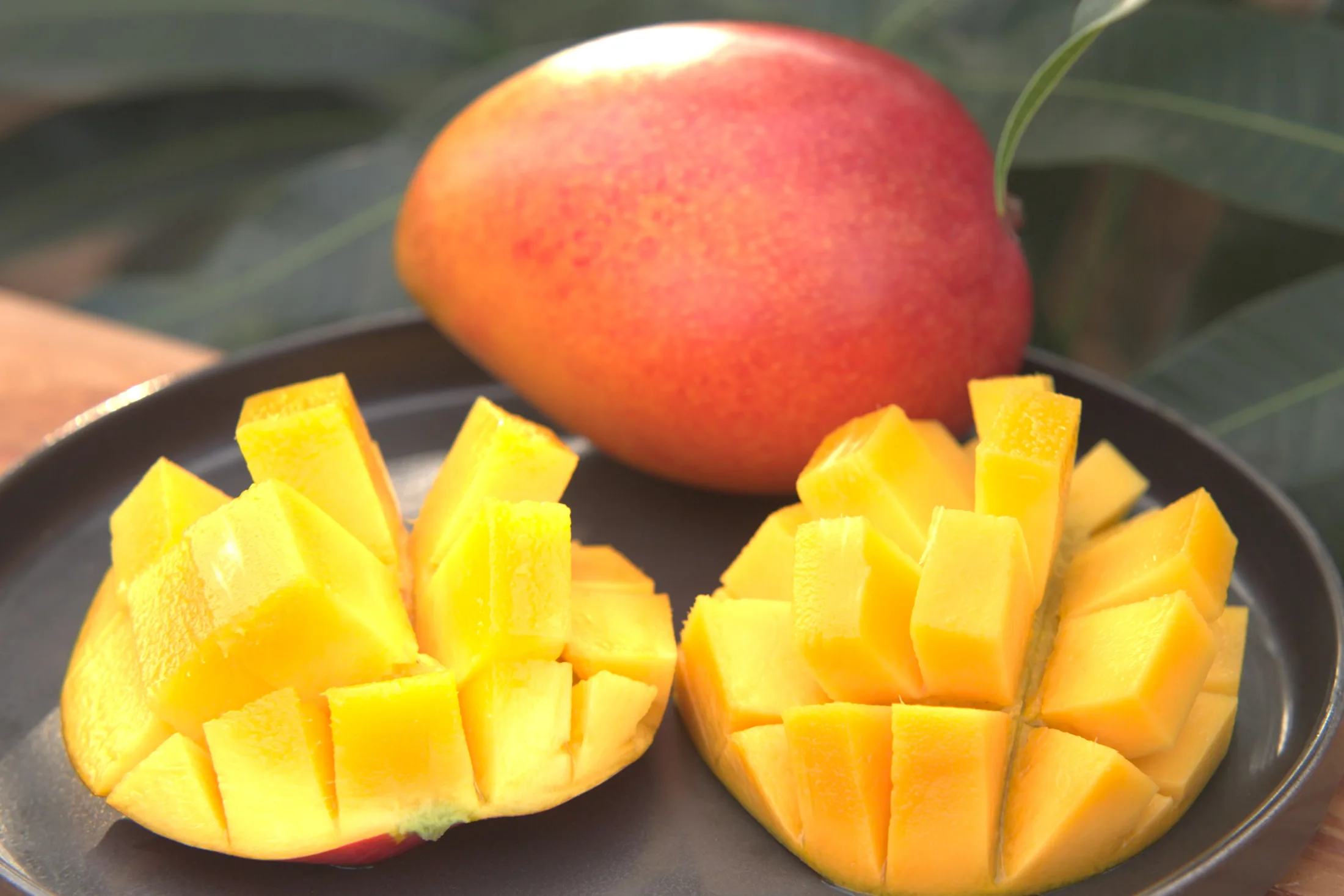 Mango