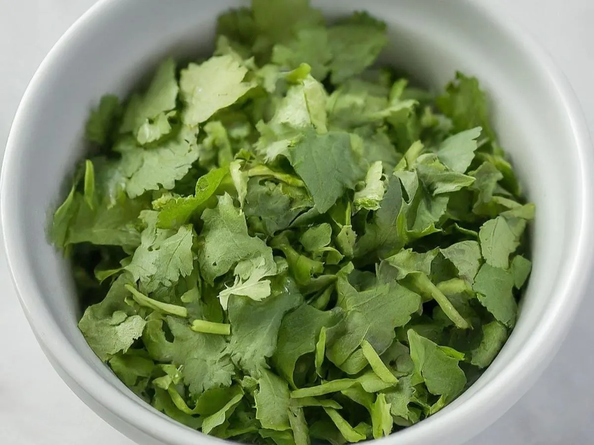 Cilantro