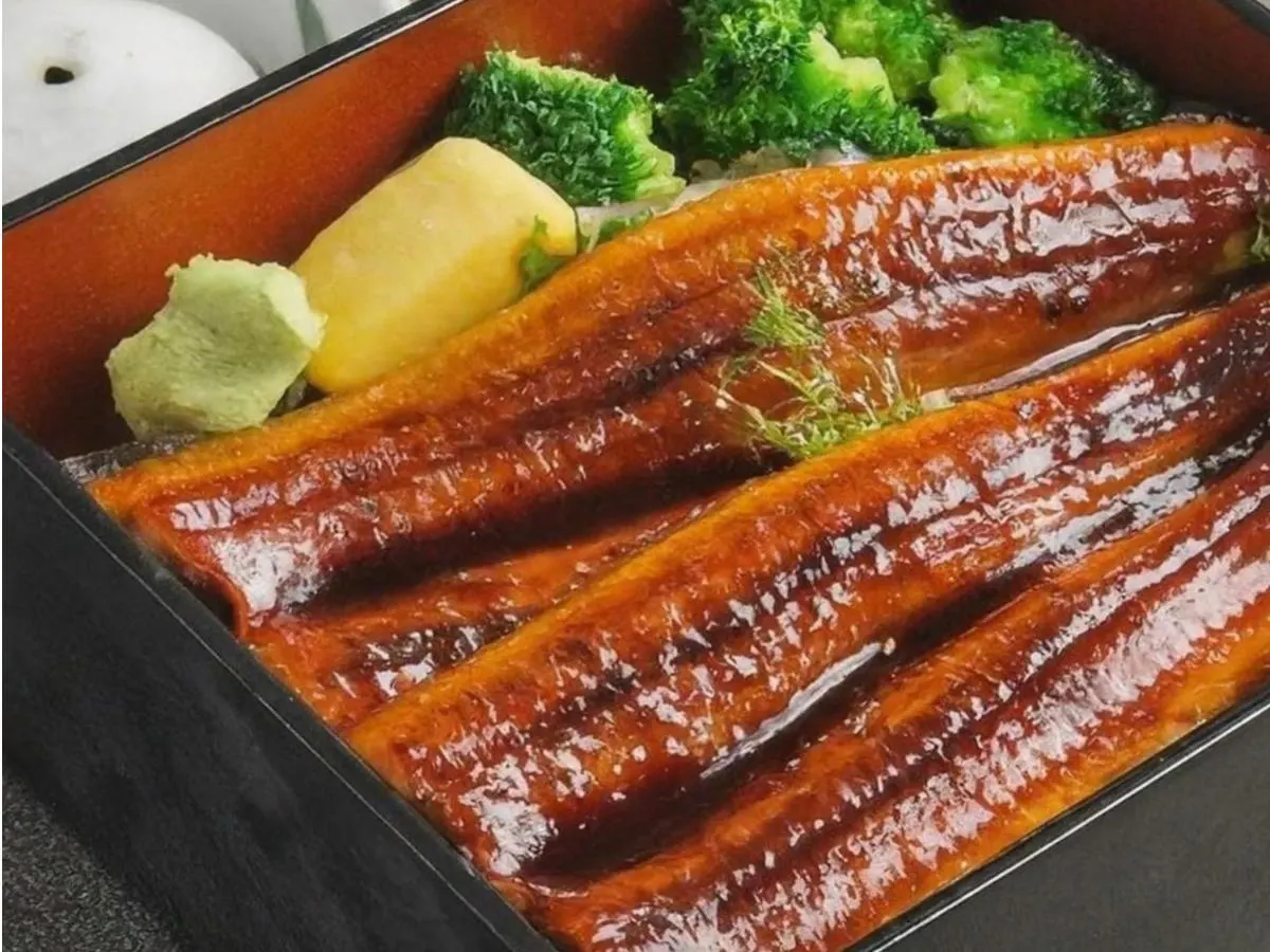 Teriyaki Unagi Eel