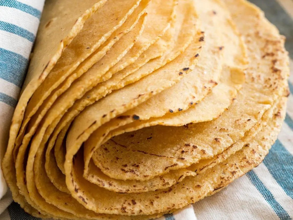 Corn Tortilla Corn Tortilla
