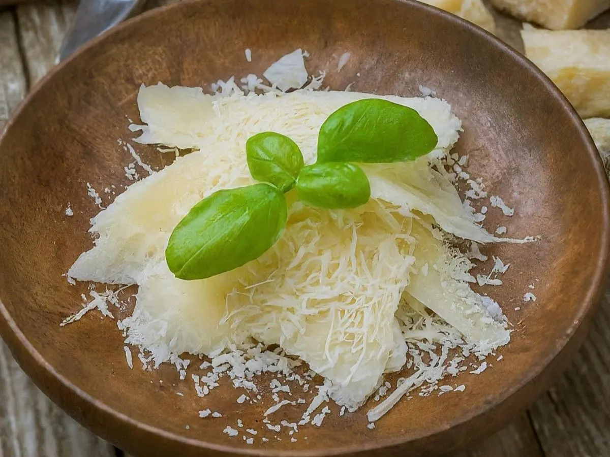 Parmesan Cheese Parmesan Cheese