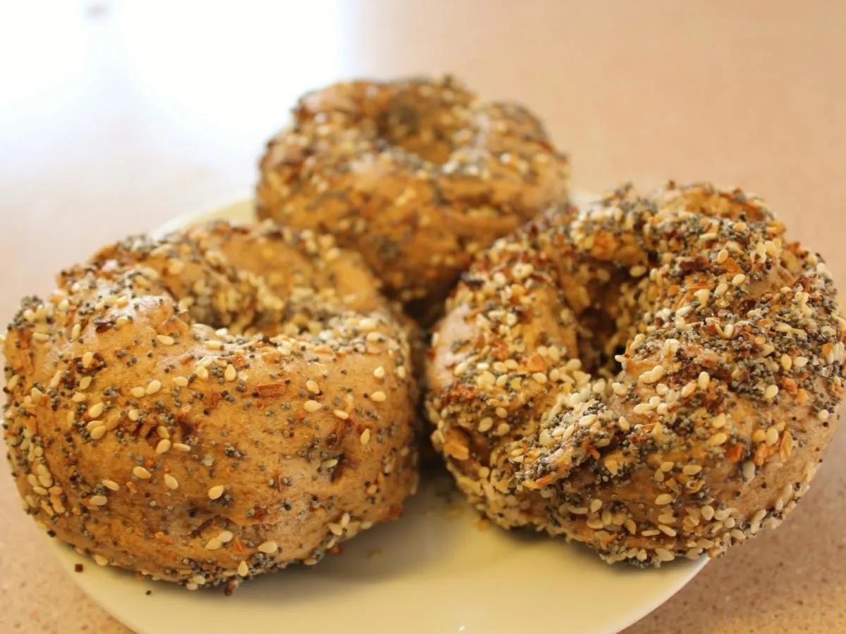 Whole Wheat Bagel Whole Wheat Bagel