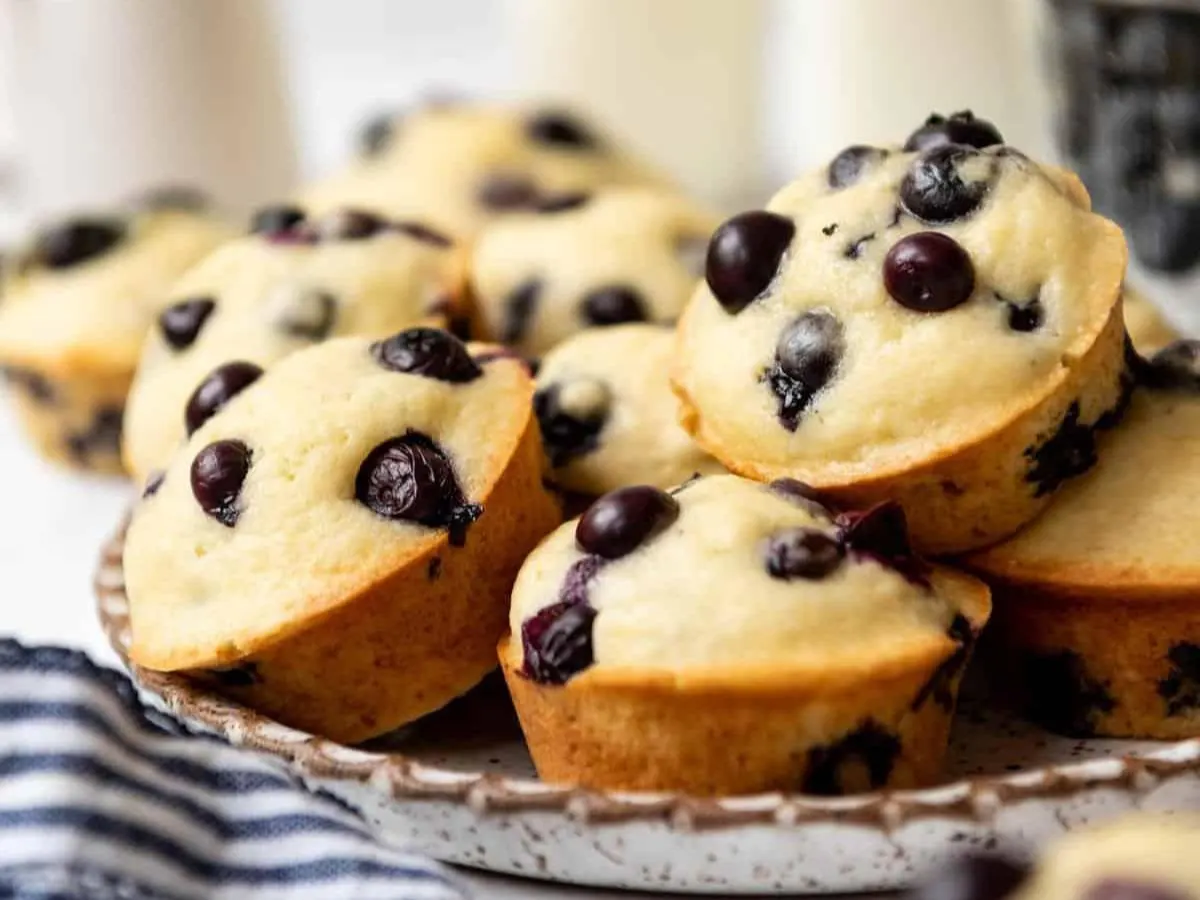 Blueberry Muffin Blueberry Muffin
