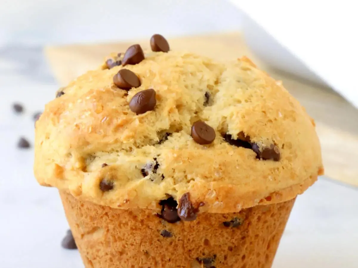 Chocolate Chip Muffin Chocolate Chip Muffin