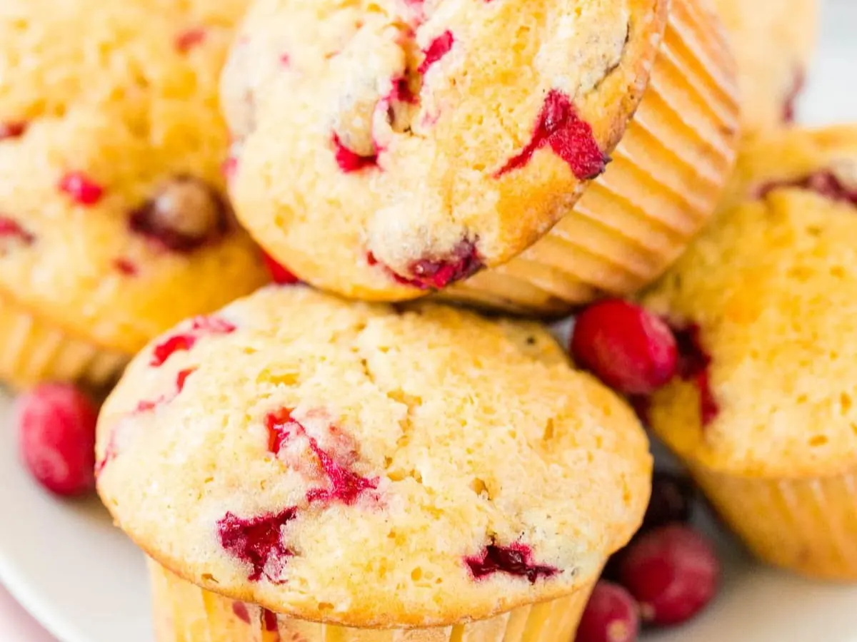 Cranberry Muffin Cranberry Muffin