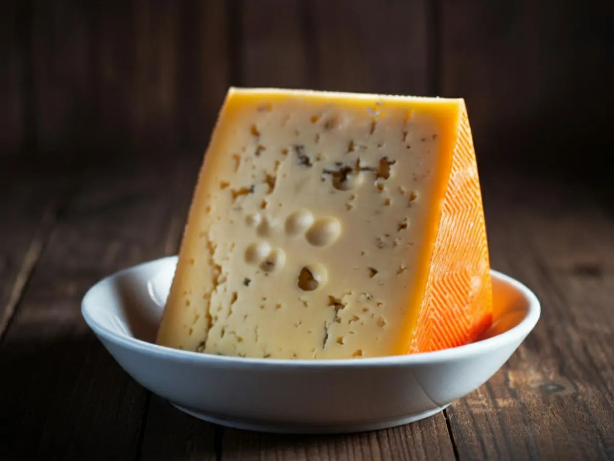 Havarti Cheese