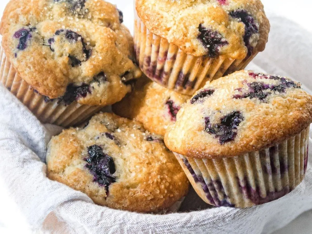 Blueberry Muffins Blueberry Muffins