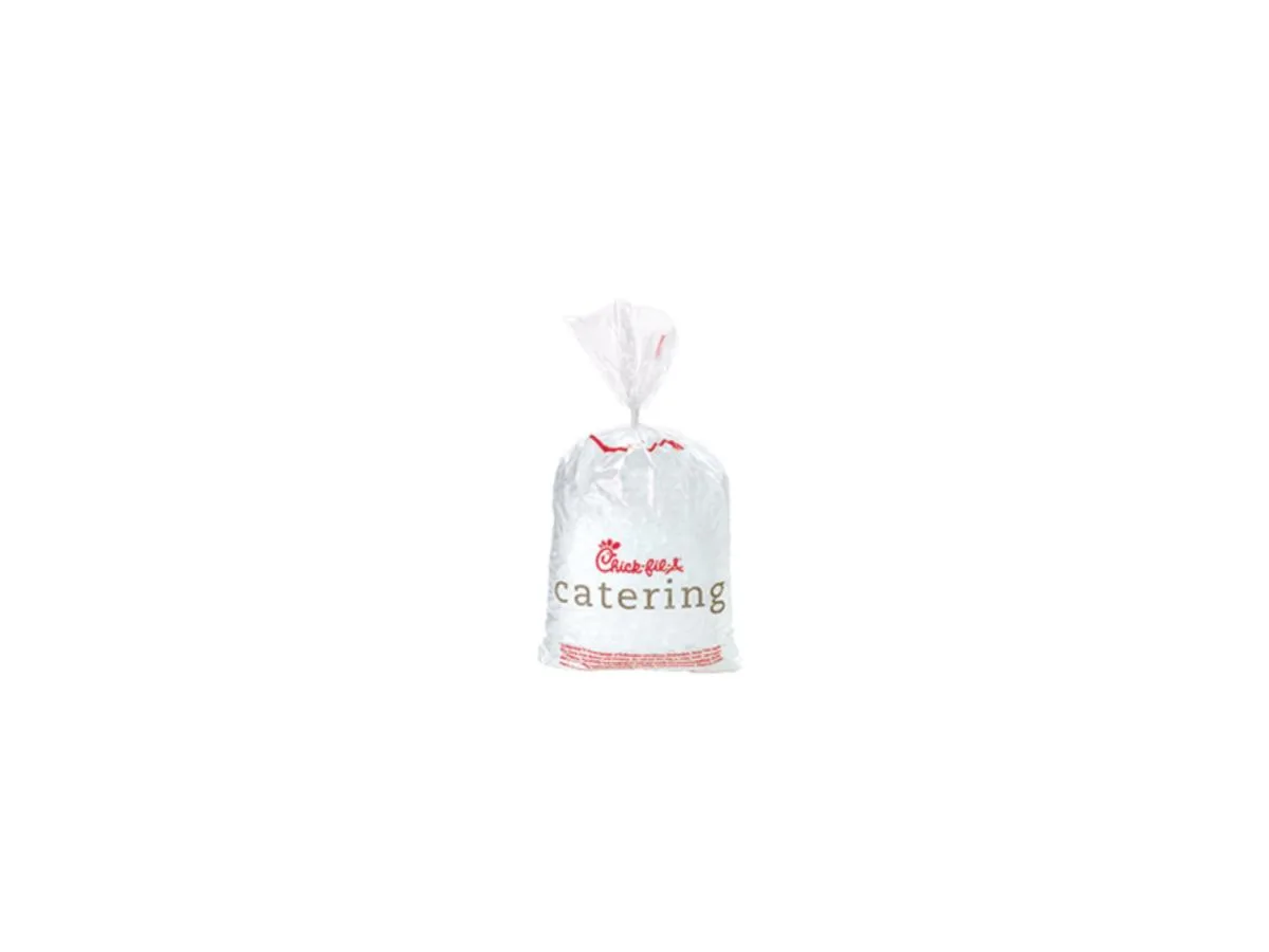Bag of Ice Bag of Ice