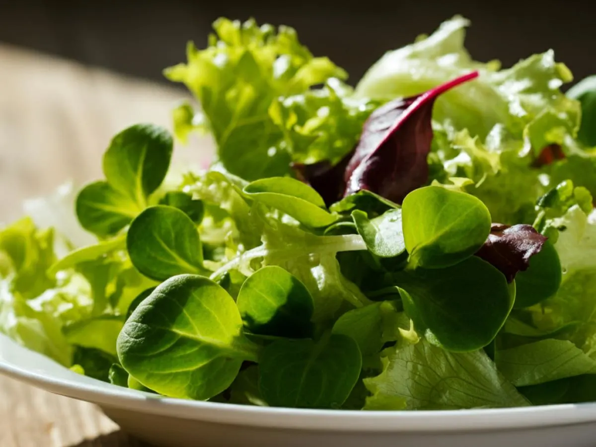 Spring Mix Spring Mix