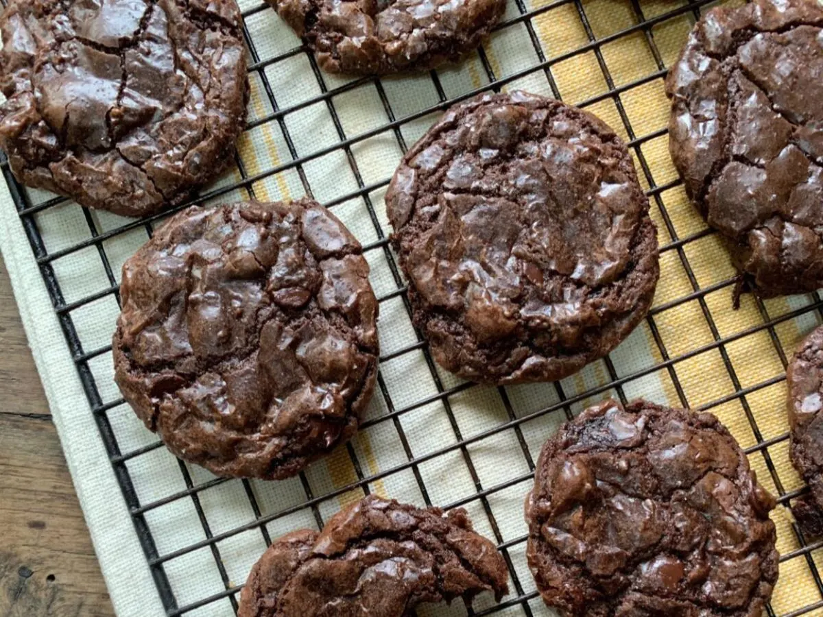 Vegan and Gluten Free Chocolate Cookie Vegan and Gluten Free Chocolate Cookie