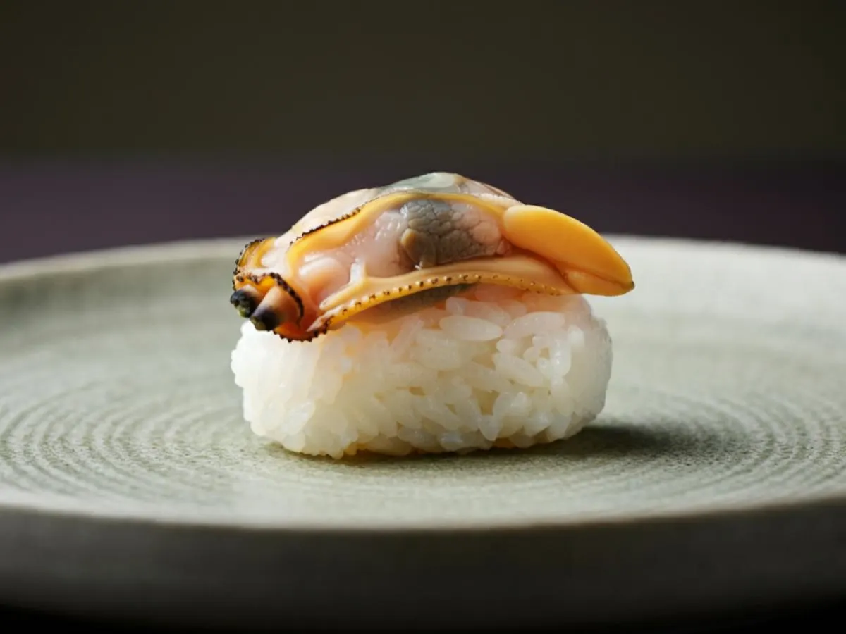 Surf Clam - Nigiri
